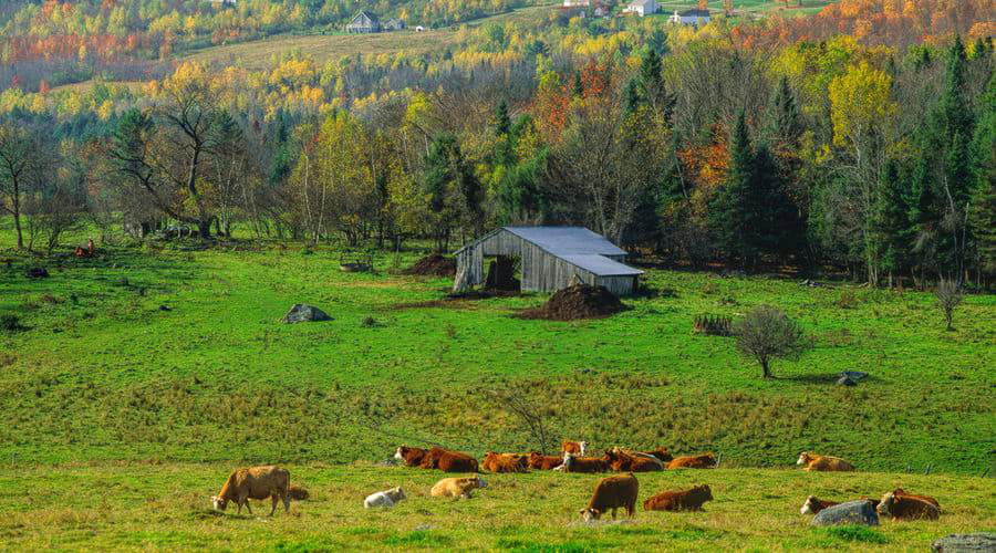 Meest Populaire Autoverhuur Deals in Sherbrooke